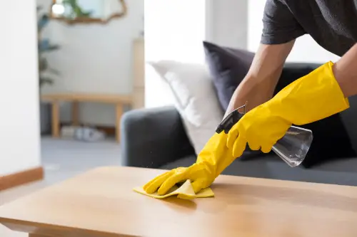 House Cleaning Services